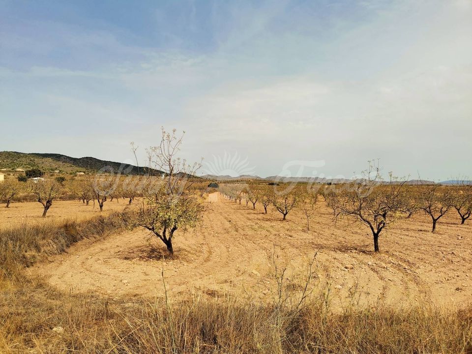 Helårsgrund i Raspay, Murcia - foto 2